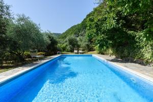 une piscine bleue avec des arbres en arrière-plan dans l'établissement Villa Feraldi, à Scopeti
