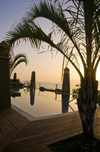 a palm tree sitting next to a body of water at Hotel Playa Calera in Valle Gran Rey