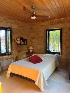 una camera con letto e ventilatore a soffitto di Cosy Piano village cottage in Pachna a Limassol