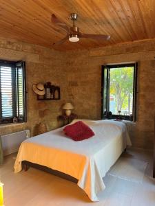 una camera da letto con un letto e un ventilatore a soffitto di Cosy Piano village cottage in Pachna a Pachna
