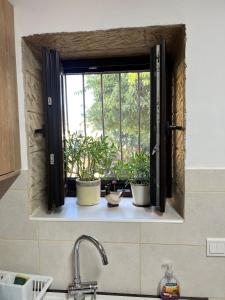 ein Fenster in einer Küche mit Topfpflanzen darauf in der Unterkunft Cosy Piano village cottage in Pachna in Limassol