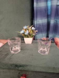 two glasses and a potted plant on a table at Hill view Guest House near continental bakery Johar Darul sehat, Agha khan and Liaqat Hospital in Karachi