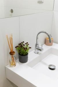 a kitchen sink with two plants and a faucet at Nōhō house in Carrapateira +20 photos