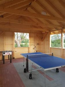 a room with a ping pong table in it at Dolina Rusinowa in Rusinowo