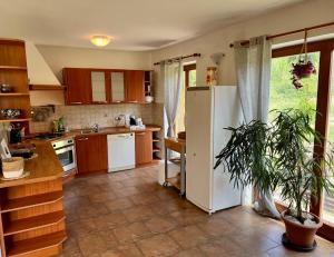 eine Küche mit einem Kühlschrank und einer Pflanze darin in der Unterkunft Casa Monte Calvo in Izola