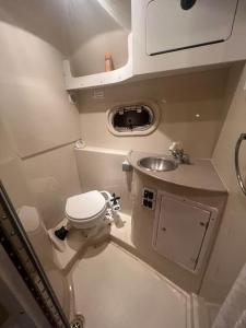 a small bathroom with a toilet and a sink at Bateau à quai Saint Mandrier in Saint-Mandrier-sur-Mer
