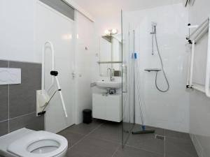 House suitable for the disabled near Hellendoorn في هيليندورن: حمام مع دش ومرحاض ومغسلة