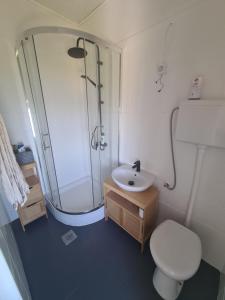 a bathroom with a shower and a toilet and a sink at Amber's Place: cosy house with pool and sea views in Dubravica +29 photos
