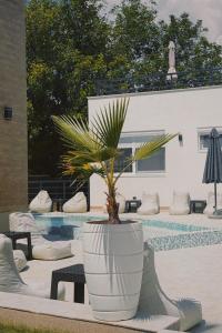 a plant in a large white planter next to a pool at GOLDEN VIEW Sokobanja in Soko Banja