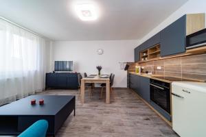 Köök või kööginurk majutusasutuses Apartmány JARO Česká Skalice