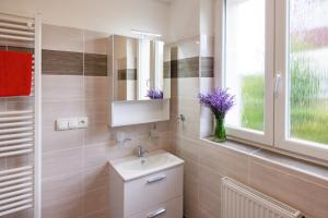 Vannituba majutusasutuses Apartmány JARO Česká Skalice