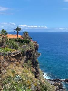 a palm tree on a cliff next to the ocean at Inn & Art Madeira in Caniço