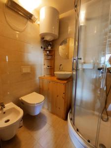 y baño con aseo, lavabo y ducha. en Mrežnica - Zelena oaza en Generalski Stol