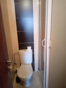 La salle de bains est pourvue de toilettes et d'une douche en verre. dans l'établissement Appartement agadir, à Agadir