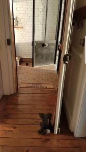 un ours en peluche assis sur le sol dans un couloir dans l'établissement Maison Berckoise Belle Époque - Plage et Centre, à Berck-sur-Mer