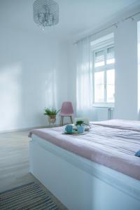 ein weißes Schlafzimmer mit einem großen Bett und einem Kronleuchter in der Unterkunft Apartmani 64 in Sombor