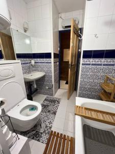 a bathroom with a toilet and a sink at Les Camparoles in Font Romeu Odeillo Via +15 photos