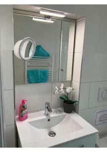 een badkamer met een witte wastafel en een spiegel bij Seeadler in Bremerhaven