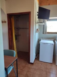 lavadero con lavadora, secadora y mesa en Alojamento Casa do Cabeço Alombada, en Macinhata do Vouga