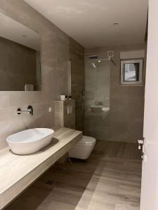 a bathroom with a sink and a toilet and a shower at Villa Aida in Sarajevo