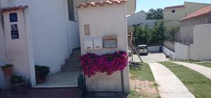Okolí apartmánu