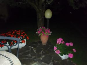 Zahrada ubytování Le sette fontane