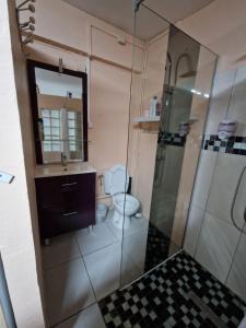 a bathroom with a toilet and a sink and a shower at ROMARIN in Saint-Denis