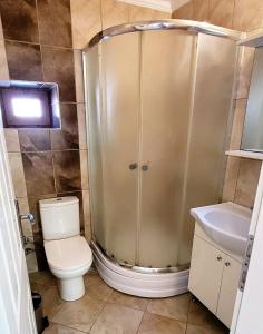 a bathroom with a shower and a toilet and a sink at Muskebi Villa in Ortakent