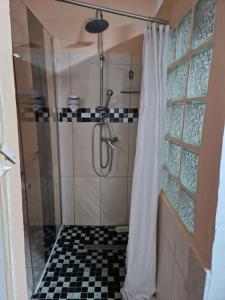 a shower with a black and white checkered floor at ROMARIN in Saint-Denis