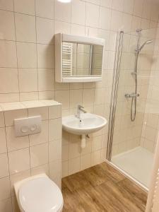 uma casa de banho com um WC, um lavatório e um chuveiro em Apartment Steinwänd Top 8 em Grünau im Almtal