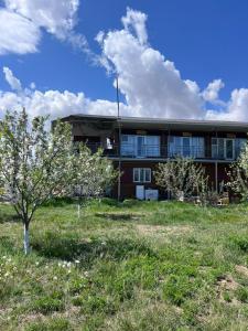 a building with a tree in front of it at Guest house and yurt camp "Aktan" in Bokonbayevo