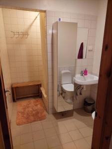 małą łazienkę z toaletą i umywalką w obiekcie Ratsu Turismitalu w mieście Jõgela