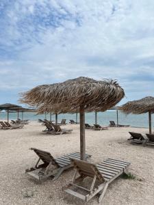 a group of chairs and an umbrella on a beach at Gabriela Blaxy Apartamente in Olimp