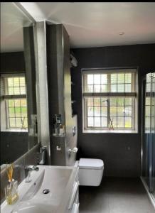 ロンドンにあるWandsworth, South London Deluxe King Room 4のバスルーム(洗面台、トイレ付)、窓2つが備わります。
