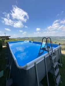 ein großer Pool mit einer Leiter daneben in der Unterkunft Castellinuzza in Greve in Chianti