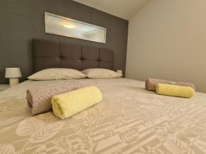Gallery image of Apartments Ankora Vir in Vir +20 photos