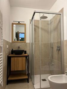 a bathroom with a glass shower and a sink at Perla Dolomiti Falt in Falcade