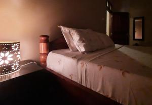 um quarto com uma cama branca e uma luz sobre ela em Modern apartment in Stone Town em Stone Town