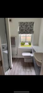 een badkamer met een toilet, een wastafel en een raam bij Bunratty Castle Gardens in Bunratty