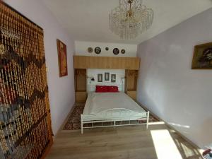 um quarto com uma cama e um lustre em View Berry House em Csopak