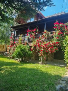 a house with red flowers in the yard at Cabana Haiducului in Soveja