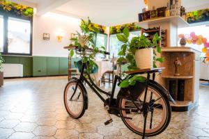 een fiets geparkeerd in een kamer met potplanten bij EcoHotel Ristorante Milano in Borgo a Mozzano