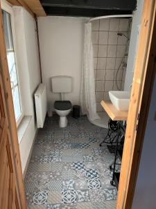 La salle de bains est pourvue de toilettes et d'un lavabo. dans l'établissement Bezauberndes Häuschen auf historischer Hofstelle, 