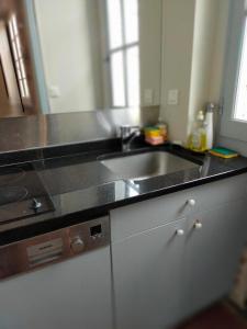 a kitchen with a sink and a counter top at Logis de Sainte-Scarbes in Toulouse
