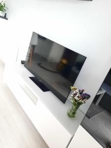 a television on a white table with a vase of flowers at Na wzgórzu in Wieliczka