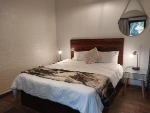 1 dormitorio con 1 cama grande y espejo en Lydiana Guesthouse, en Pretoria