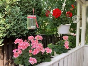 Zahrada ubytování Holiday home HUNVIGAN