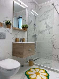 a bathroom with a shower and a toilet and a sink at Queen's Studio Deluxe Mamaia Nord in Mamaia Nord +15 photos