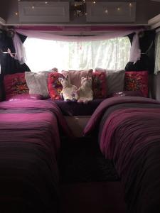 zwei Hunde sitzen auf einem Bett in einem Bus in der Unterkunft little vintage caravan with cosy log burner in Canterbury
