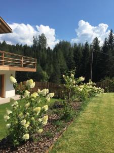 a garden with white flowers in front of a house at Chalet n. 5 in Carano